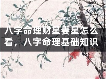 八字命理财星妻星怎么看,八字命理基础知识
