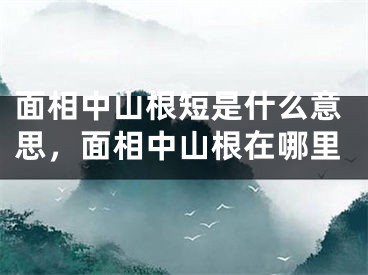 面相中山根短是什么意思，面相中山根在哪里