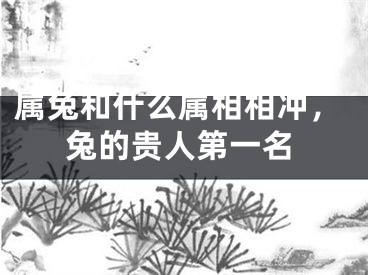 属兔和什么属相相冲,兔的贵人第一名