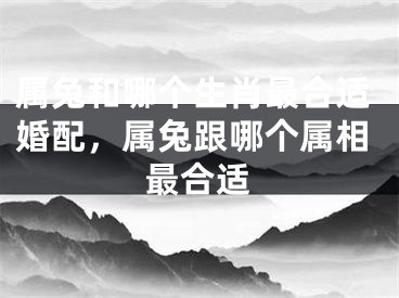 属兔和哪个生肖最合适婚配，属兔跟哪个属相最合适