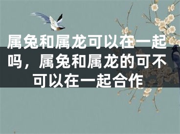 属兔和属龙可以在一起吗，属兔和属龙的可不可以在一起合作