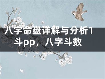 八字命盘详解与分析1斗pp，八字斗数