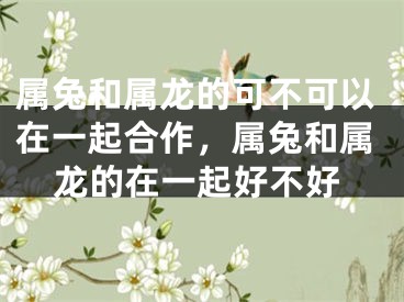 属兔和属龙的可不可以在一起合作，属兔和属龙的在一起好不好