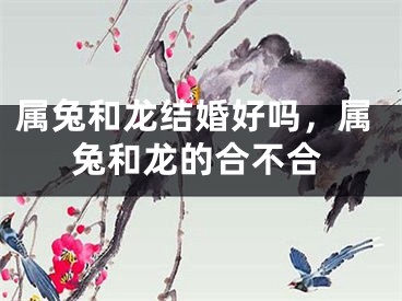 属兔和龙结婚好吗，属兔和龙的合不合
