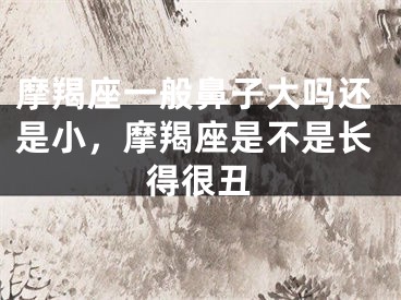 摩羯座一般鼻子大吗还是小，摩羯座是不是长得很丑
