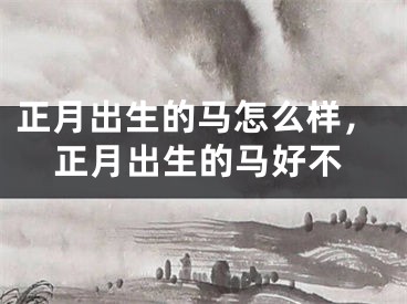 正月出生的马怎么样,正月出生的马好不