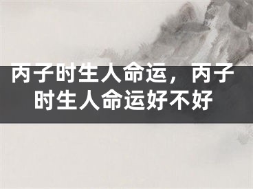 丙子时生人命运，丙子时生人命运好不好