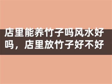 店里能养竹子吗风水好吗，店里放竹子好不好