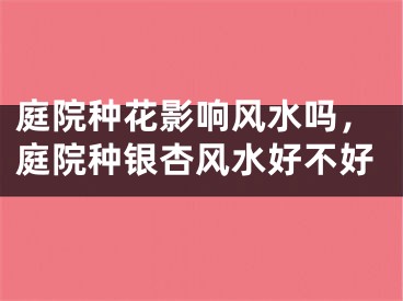庭院种花影响风水吗，庭院种银杏风水好不好