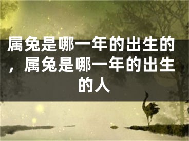 属兔是哪一年的出生的，属兔是哪一年的出生的人
