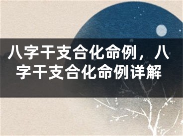 八字干支合化命例，八字干支合化命例详解
