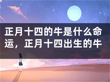 正月十四的牛是什么命运，正月十四出生的牛