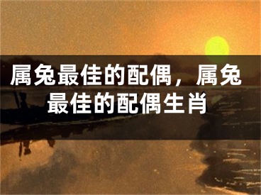 属兔最佳的配偶，属兔最佳的配偶生肖