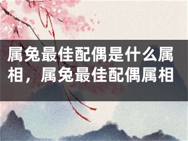 属兔最佳配偶是什么属相，属兔最佳配偶属相
