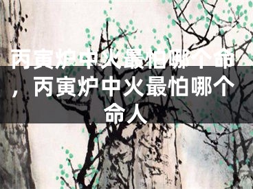 丙寅炉中火最怕哪个命，丙寅炉中火最怕哪个命人