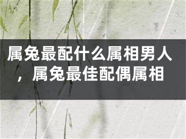 属兔最配什么属相男人，属兔最佳配偶属相