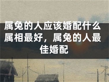 属兔的人应该婚配什么属相最好，属兔的人最佳婚配