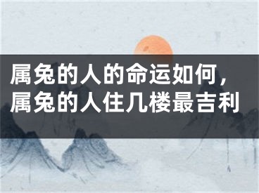 属兔的人的命运如何,属兔的人住几楼最吉利