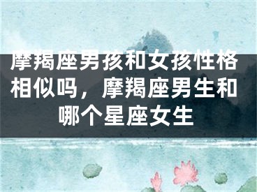 摩羯座男孩和女孩性格相似吗,摩羯座男生和哪个星座女生