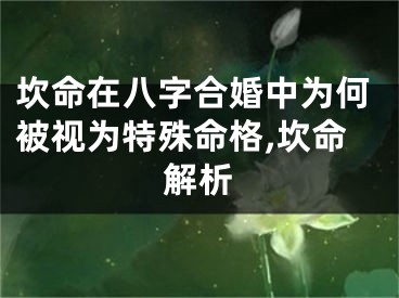 坎命在八字合婚中为何被视为特殊命格,坎命解析