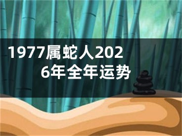 1977属蛇人2026年全年运势