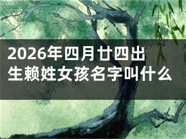 2026年四月廿四出生赖姓女孩名字叫什么