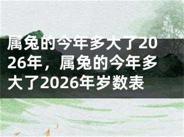 属兔的今年多大了2026年，属兔的今年多大了2026年岁数表