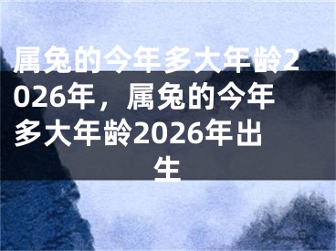 属兔的今年多大年龄2026年，属兔的今年多大年龄2026年出生