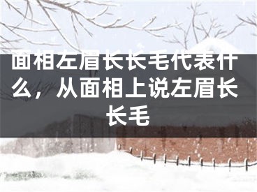 面相左眉长长毛代表什么，从面相上说左眉长长毛