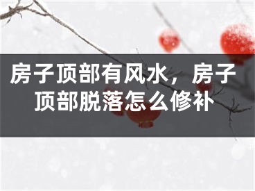 房子顶部有风水，房子顶部脱落怎么修补
