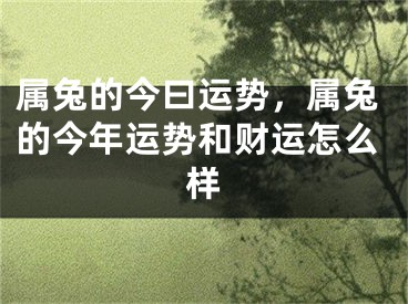 属兔的今曰运势，属兔的今年运势和财运怎么样