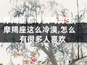 摩羯座都冷漠吗男生，摩羯座这么冷漠,怎么有很多人喜欢
