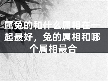 属兔的和什么属相在一起最好，兔的属相和哪个属相最合