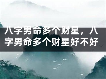 八字男命多个财星，八字男命多个财星好不好