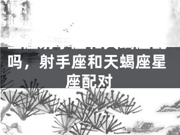 星座射手座和天蝎座配吗，射手座和天蝎座星座配对