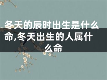 冬天的辰时出生是什么命,冬天出生的人属什么命