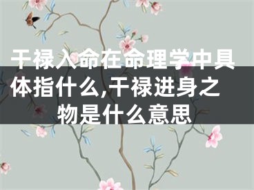 干禄入命在命理学中具体指什么,干禄进身之物是什么意思