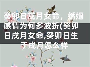 癸卯日戌月女命，婚姻感情为何多波折(癸卯日戌月女命,癸卯日生于戌月怎么样
