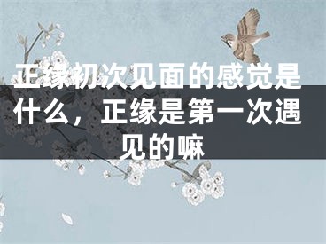 正缘初次见面的感觉是什么，正缘是第一次遇见的嘛