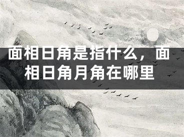 面相日角是指什么，面相日角月角在哪里