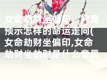 女命劫财坐偏印，究竟预示怎样的命运走向(女命劫财坐偏印,女命劫财坐劫财是什么意思