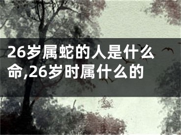 26岁属蛇的人是什么命,26岁时属什么的
