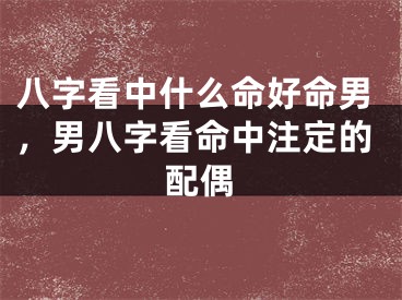 八字看中什么命好命男，男八字看命中注定的配偶