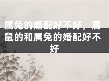 属兔的婚配好不好，属鼠的和属兔的婚配好不好