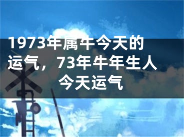 1973年属牛今天的运气，73年牛年生人今天运气