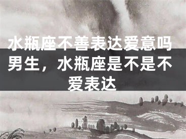 水瓶座不善表达爱意吗男生，水瓶座是不是不爱表达