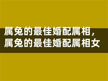属兔的最佳婚配属相，属兔的最佳婚配属相女