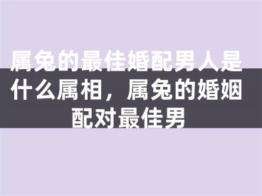 属兔的最佳婚配男人是什么属相，属兔的婚姻配对最佳男
