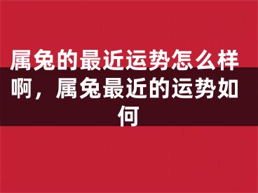 属兔的最近运势怎么样啊，属兔最近的运势如何