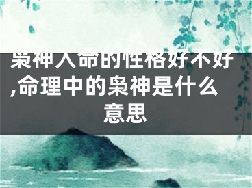 枭神入命的性格好不好,命理中的枭神是什么意思